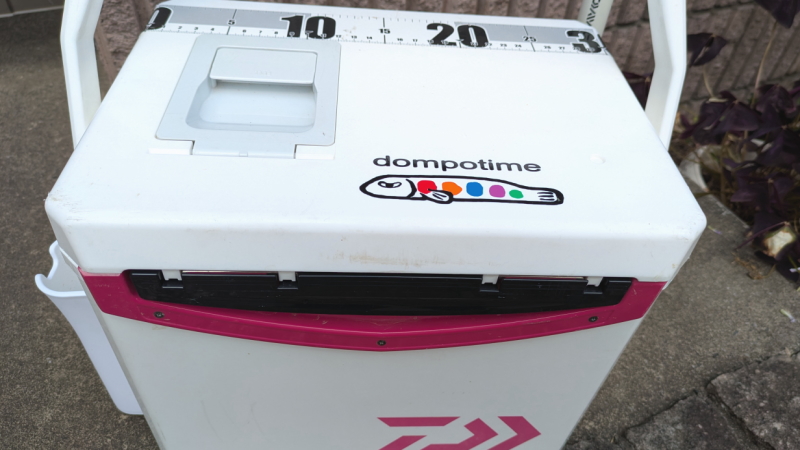 dompotime　ドンポタイム